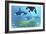 Three Killer Whales Pass over a Reef on a Journey to Find their Next Prey-Stocktrek Images-Framed Art Print