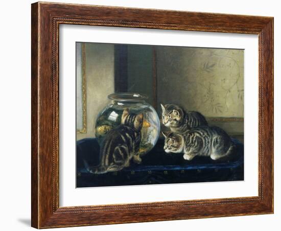 Three Kittens Watching Goldfish-Horatio Henry Couldery-Framed Giclee Print