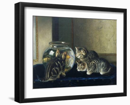 Three Kittens Watching Goldfish-Horatio Henry Couldery-Framed Giclee Print