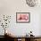Three Kittens-Judy Mastrangelo-Framed Giclee Print displayed on a wall