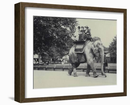 Three Ladies Being Given a Ride on an Asian Elephant, Lead by a Keeper, at London Zoo, May 1914-Frederick William Bond-Framed Photographic Print