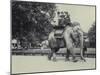 Three Ladies Being Given a Ride on an Asian Elephant, Lead by a Keeper, at London Zoo, May 1914-Frederick William Bond-Mounted Photographic Print