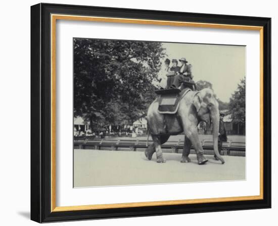 Three Ladies Being Given a Ride on an Asian Elephant, Lead by a Keeper, at London Zoo, May 1914-Frederick William Bond-Framed Photographic Print