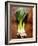 Three Leeks on Wooden Background-null-Framed Photographic Print