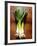 Three Leeks on Wooden Background-null-Framed Photographic Print