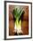 Three Leeks on Wooden Background-null-Framed Photographic Print