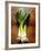 Three Leeks on Wooden Background-null-Framed Photographic Print