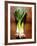 Three Leeks on Wooden Background-null-Framed Photographic Print