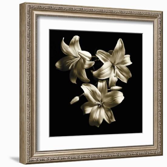 Three Lilies-Michael Harrison-Framed Art Print