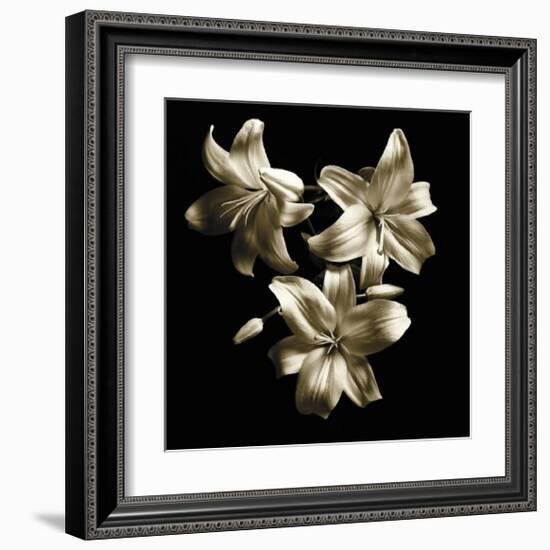 Three Lilies-Michael Harrison-Framed Art Print