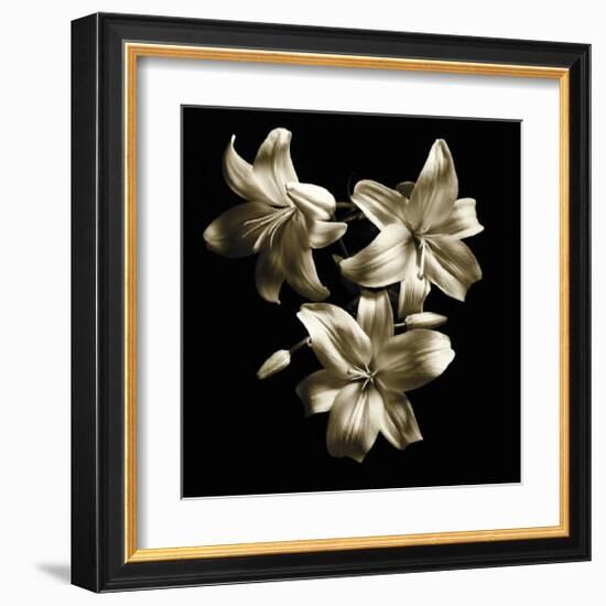 Three Lilies-Michael Harrison-Framed Art Print