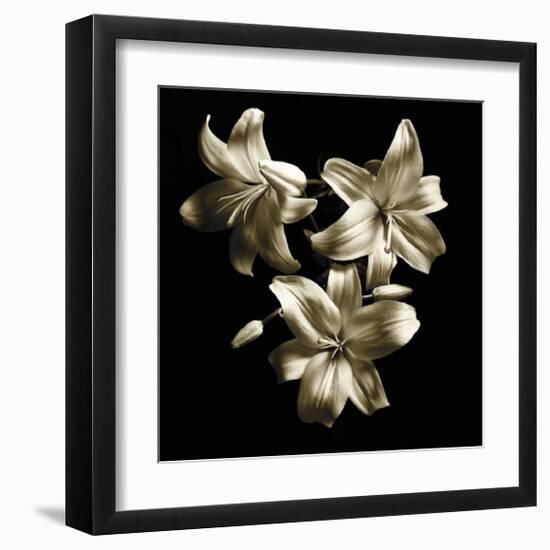 Three Lilies-Michael Harrison-Framed Art Print