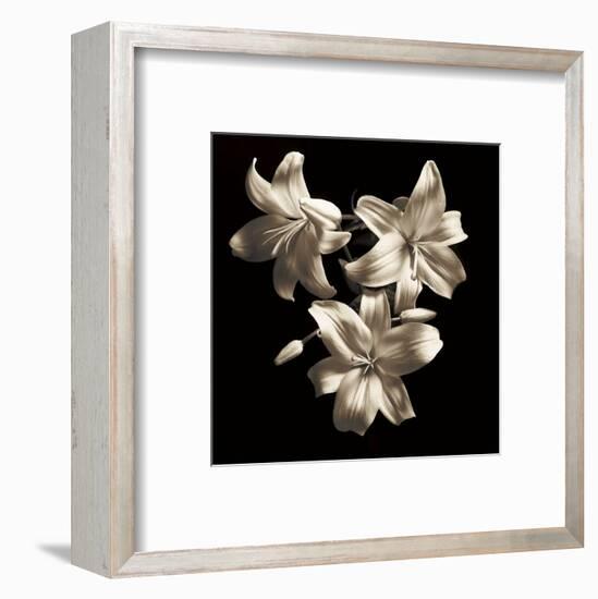 Three Lilies-Michael Harrison-Framed Art Print