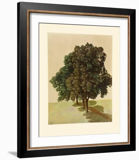 Three Lime Trees-Albrecht Dürer-Framed Collectable Print