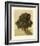 Three Lime Trees-Albrecht Dürer-Framed Collectable Print