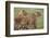 Three Lion Cubs, Ngorongoro Conservation Area, Tanzania-James Heupel-Framed Photographic Print