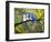 Three Little Bluebirds-Blenda Tyvoll-Framed Giclee Print