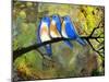 Three Little Bluebirds-Blenda Tyvoll-Mounted Giclee Print