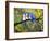 Three Little Bluebirds-Blenda Tyvoll-Framed Giclee Print