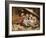 Three Little Kittens, 1883-Joseph Clark-Framed Giclee Print