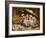 Three Little Kittens, 1883-Joseph Clark-Framed Giclee Print