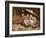 Three Little Kittens, 1883-Joseph Clark-Framed Giclee Print