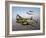 Three Lockheed P-38 Lightnings in Flight-Stocktrek Images-Framed Photographic Print