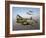 Three Lockheed P-38 Lightnings in Flight-Stocktrek Images-Framed Photographic Print