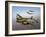 Three Lockheed P-38 Lightnings in Flight-Stocktrek Images-Framed Photographic Print