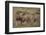 Three Male Lions on the Serengeti Plains-W. Perry Conway-Framed Photographic Print