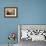 Three Mallard Ducks-Adrian Campfield-Framed Photographic Print displayed on a wall