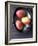 Three Mangos-Jan-peter Westermann-Framed Photographic Print