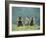 Three Marmots-null-Framed Photo