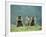 Three Marmots-null-Framed Photo