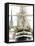 Three Masted Boat, Amerigo Vespucci from Italy During Armada 2008, Rouen, Normandy, France-Thouvenin Guy-Framed Premier Image Canvas