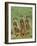 Three Meerkats (Suricates), Suricata Suricatta, Addo National Park, South Africa, Africa-Ann & Steve Toon-Framed Photographic Print