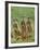 Three Meerkats (Suricates), Suricata Suricatta, Addo National Park, South Africa, Africa-Ann & Steve Toon-Framed Photographic Print