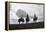 Three Men Riding the Range-Philip Gendreau-Framed Premier Image Canvas