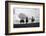 Three Men Riding the Range-Philip Gendreau-Framed Photographic Print