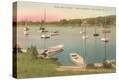 Stretched Canvas Print
