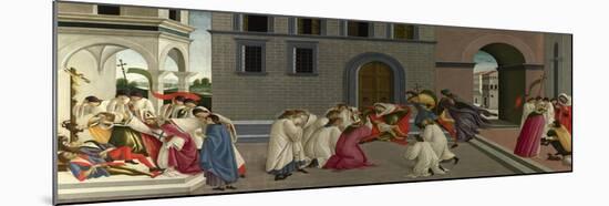 Three Miracles of Saint Zenobius, C. 1500-Sandro Botticelli-Mounted Giclee Print