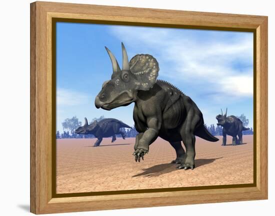 Three Nedoceratops in the Desert by Daylight-null-Framed Stretched Canvas