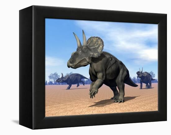 Three Nedoceratops in the Desert by Daylight-null-Framed Stretched Canvas