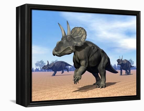 Three Nedoceratops in the Desert by Daylight-null-Framed Stretched Canvas