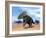 Three Nedoceratops in the Desert by Daylight-null-Framed Art Print