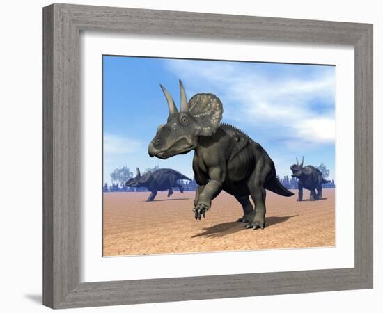 Three Nedoceratops in the Desert by Daylight-null-Framed Art Print