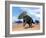 Three Nedoceratops in the Desert by Daylight-null-Framed Art Print