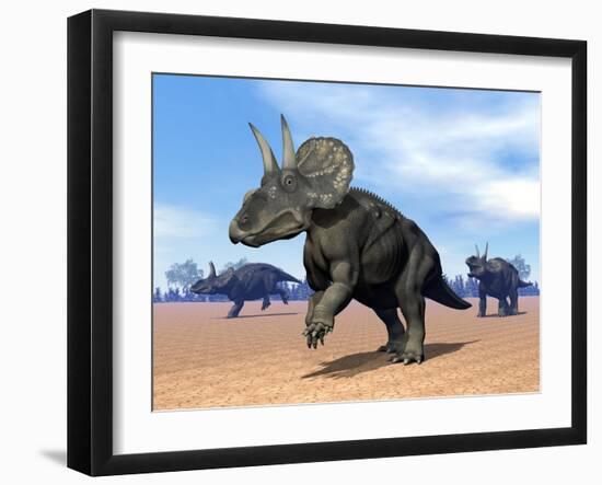 Three Nedoceratops in the Desert by Daylight-null-Framed Art Print