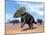 Three Nedoceratops in the Desert by Daylight-null-Mounted Art Print