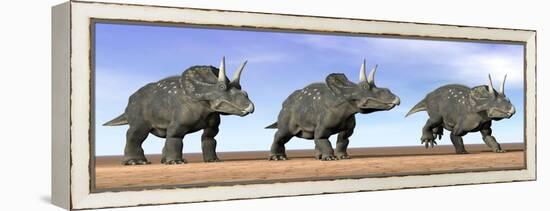 Three Nedoceratops Standing in the Desert-null-Framed Stretched Canvas